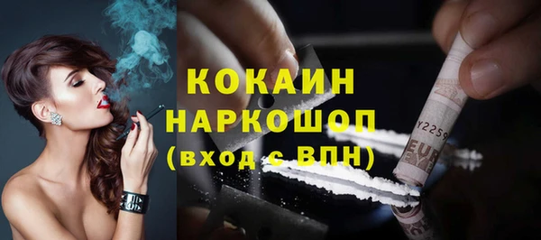 гидра Краснослободск