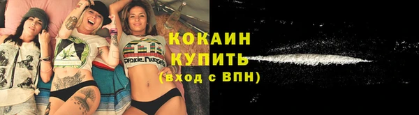 гидра Краснослободск