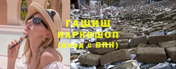 гидра Краснослободск